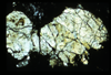 ap1702_06_06