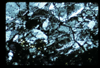 ap1702_06_10