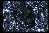 ap1702_06_12