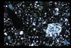 ap1702_06_14
