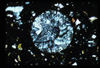 ap1702_06_17