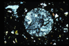 ap1702_07_02