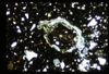 ap1702_07_07
