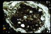 ap1702_07_08