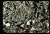 ap1702_08_07