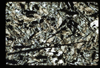 ap1702_08_09