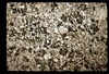 ap1702_08_11