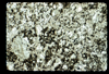 ap1702_08_15