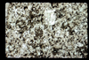 ap1702_09_01