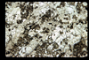 ap1702_09_09