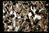 ap1702_09_15