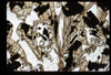 ap1702_09_17