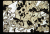 ap1702_09_19
