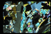 ap1702_10_02