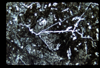 ap1702_10_03