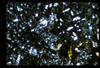 ap1702_10_04