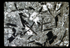 ap1702_10_11