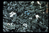 ap1702_10_14