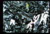 ap1702_10_16