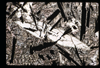 ap1702_10_17