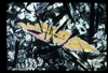 ap1702_10_18