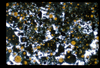 ap1702_11_04