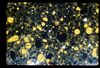 ap1702_11_07