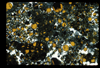 ap1702_11_08