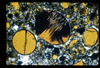 ap1702_11_09