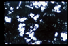 ap1702_11_13