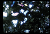 ap1702_11_14