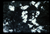 ap1702_11_15