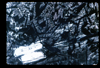 ap1702_11_17