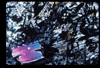 ap1702_11_18