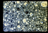 ap1702_11_19
