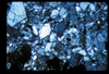 ap1702_12_04