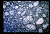 ap1702_12_05