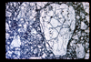 ap1702_12_09