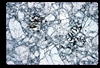 ap1702_12_11