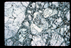 ap1702_13_01