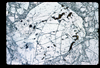 ap1702_13_19
