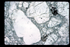 ap1702_14_01
