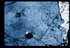 ap1702_14_14