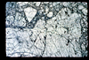 ap1702_14_17