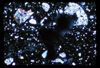 ap1703_01_04