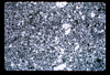 ap1703_01_15