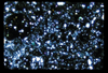 ap1703_02_08