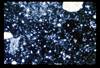 ap1703_02_09