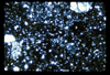 ap1703_02_10