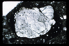 ap1703_02_11